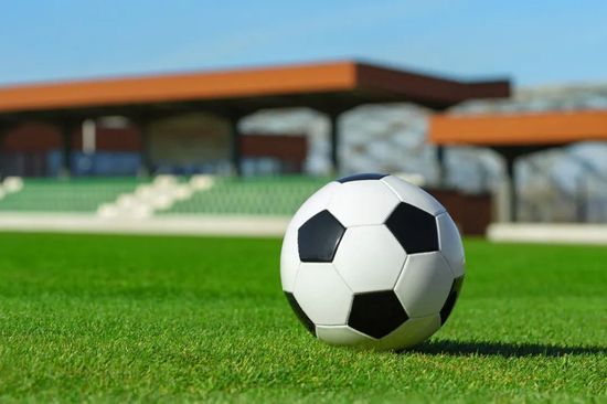 《功夫梦：融合之道》：成龙、拉尔夫致敬经典！